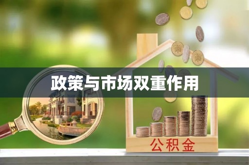 邻水政策与市场双重作用