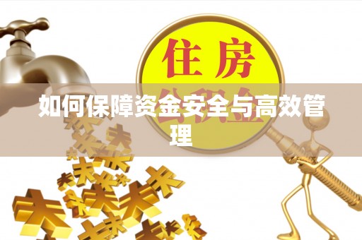 邻水如何保障资金安全与高效管理