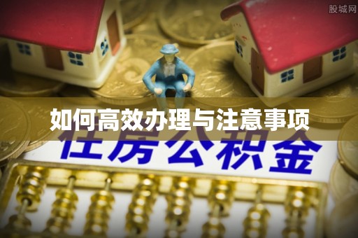 邻水如何高效办理与注意事项