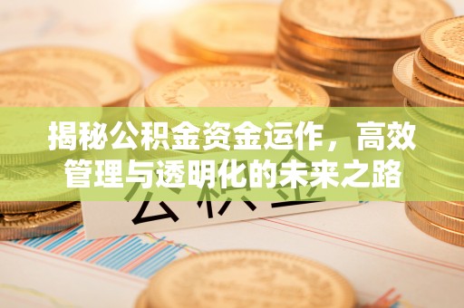 邻水揭秘公积金资金运作，高效管理与透明化的未来之路