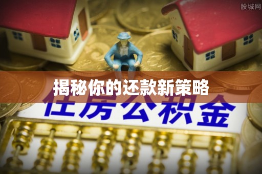 邻水揭秘你的还款新策略