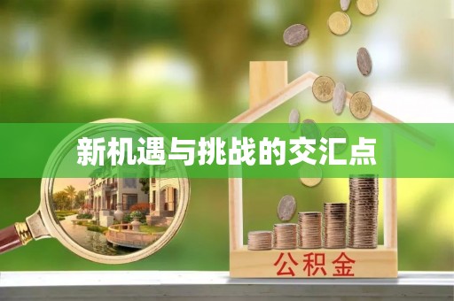 邻水新机遇与挑战的交汇点
