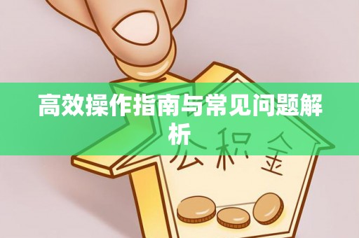 邻水高效操作指南与常见问题解析