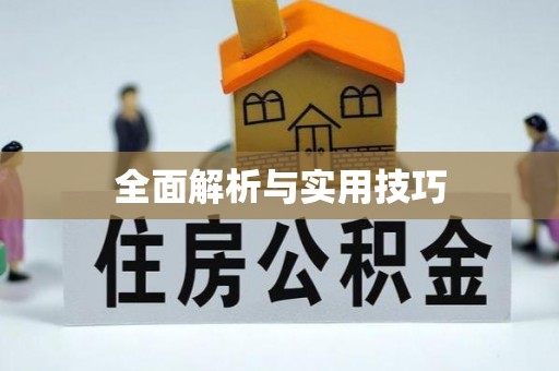 邻水全面解析与实用技巧
