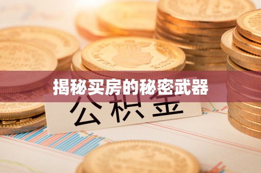 邻水揭秘买房的秘密武器
