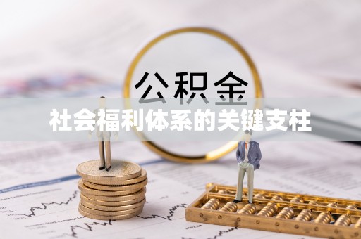 邻水社会福利体系的关键支柱