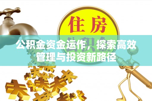邻水公积金资金运作，探索高效管理与投资新路径