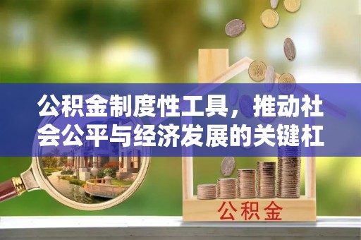 邻水公积金制度性工具，推动社会公平与经济发展的关键杠杆