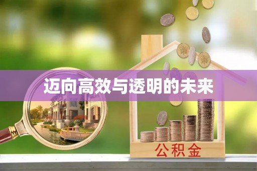 邻水迈向高效与透明的未来