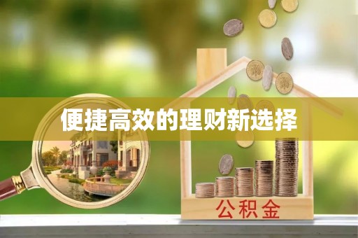 邻水便捷高效的理财新选择